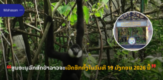 ສູນອະນຸລັກສັດປ່າລາວຈະເປີດອີກຄັ້ງໃນວັນທີ 19 ມັງກອນ 2026 ນີ້