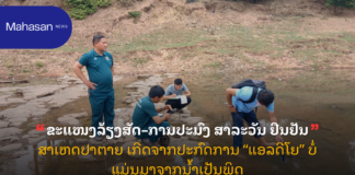 ຂະແໜງລ້ຽງສັດ–ການປະມົງ ສາລະວັນ ຢືນຢັນສາເຫດປາຕາຍ ເກີດຈາກປະກົດການ “ແອລດີໂຍ” ບໍ່ແມ່ນມາຈາກນໍ້າເປັນພິດ